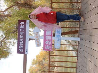 想你的风吹到了轮台