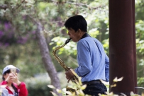 [原创] 萨克斯演奏