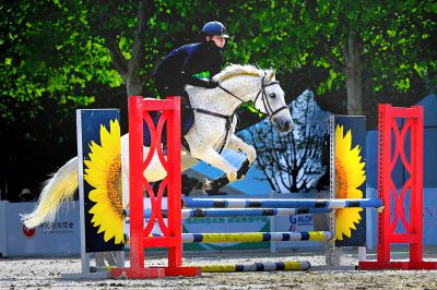 马术障碍挑战赛