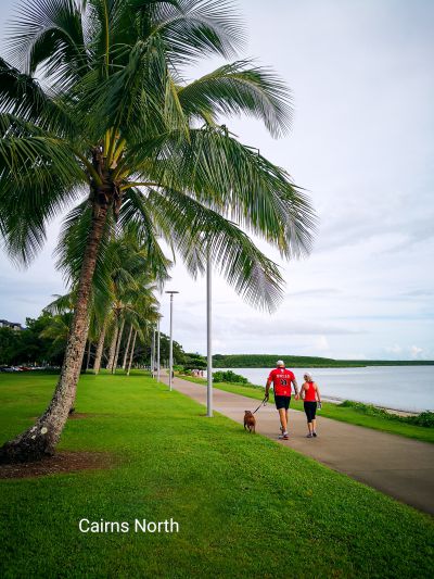 椰影成双.逐浪而行。