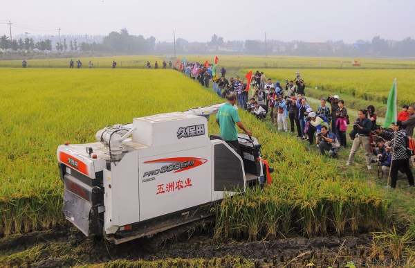 《俺村来了大明星》