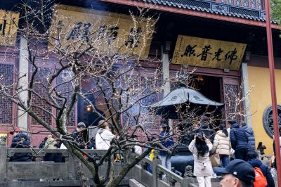 梅红映寺， 岁岁安然。