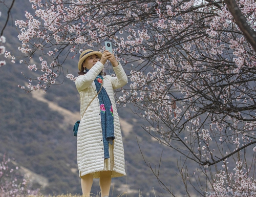 [原创] 享受自然