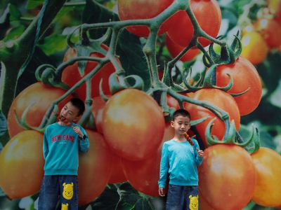 寿光菜博会上的孩子