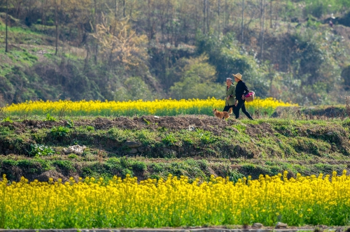 [原创]山乡小路上