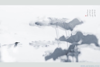 [原创]【画意荷境】3