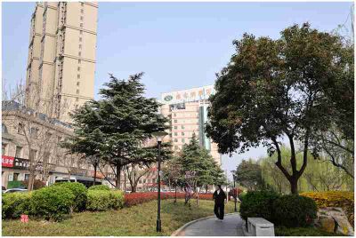 春到城河边——7