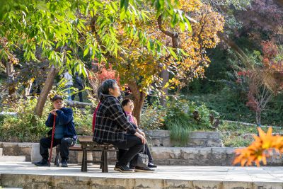 她看风景他看她