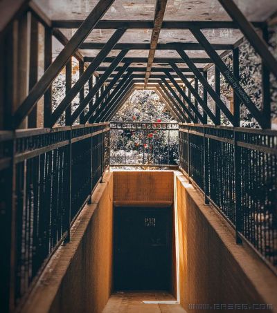 [原创]猜猜这是怎末拍的？