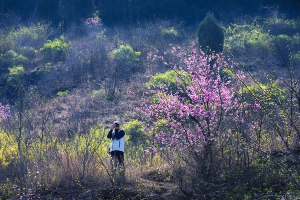 摄影师的春天