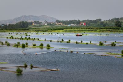 《依山傍水好家园》