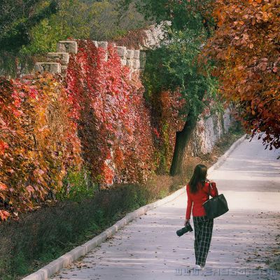 [原创]原山倩影