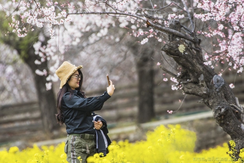 [原创] 赏花季（一）