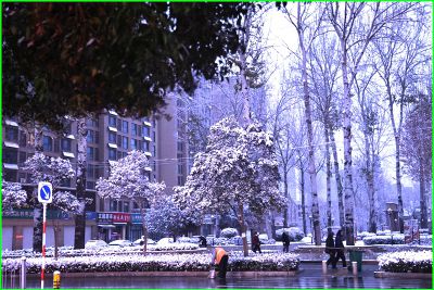 入冬滕州市第一场雪即景