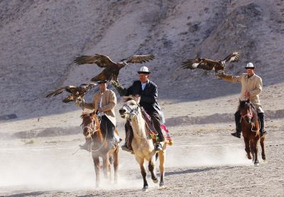 南疆阿合奇的猎鹰表演（2）