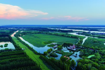 《湿地欢迎您》