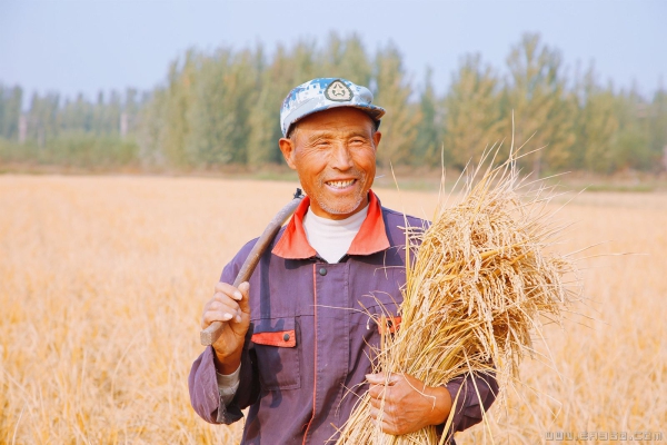 丰收的喜悦