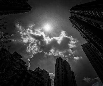 [原创]龙行天下