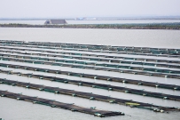 [原创]  荣成好当家海参养殖基地