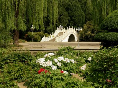 南郊宾馆牡丹园