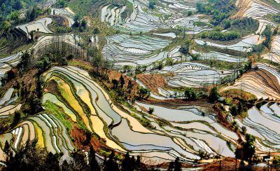 元阳哈尼族梯田