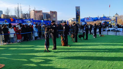 致敬，人民警察！（2）