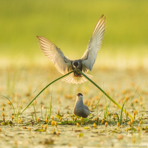 [原创]我想有个家