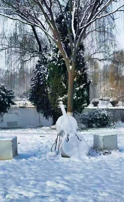 小提琴的风雪劫