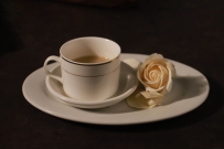 [原创]杯子花瓣