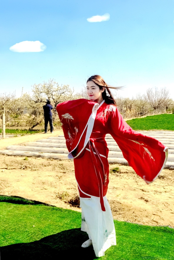 《梨花带雨汉唐风》