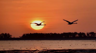 [原创]当太阳从东方升起的时候