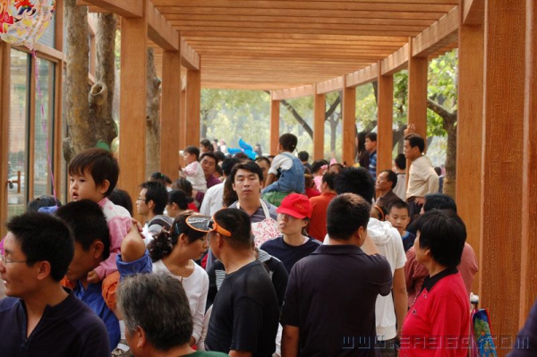 [08印象济南] 人团密簇