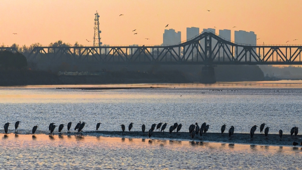 李木《东方摄影 · 我的2023》