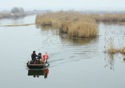微山湖的冬日风情
