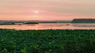 微山湖日出