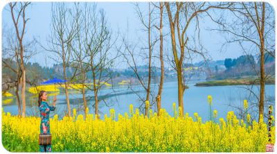 川南初春菜花开