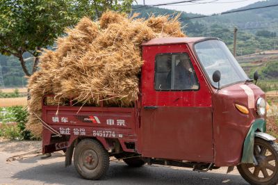 又是一年丰收季