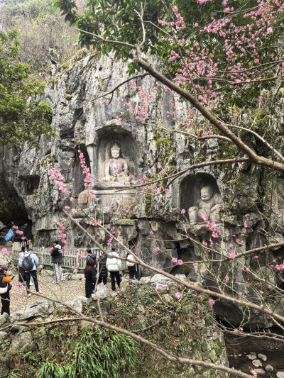 摩崖石刻，迎红梅。