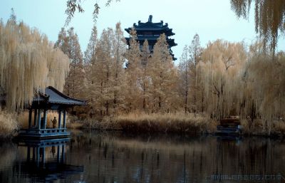 明湖秋色  (红外拍摄)