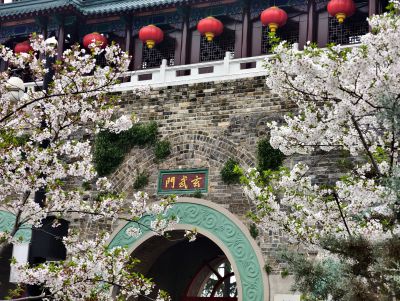 南京玄武湖踏青赏花2