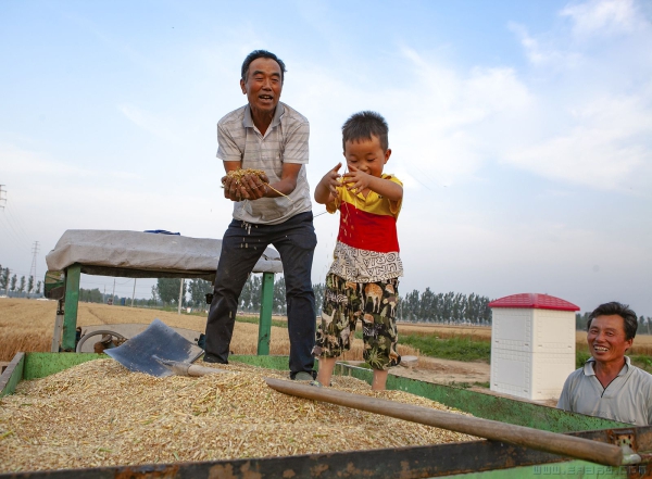 《丰收的喜悦》