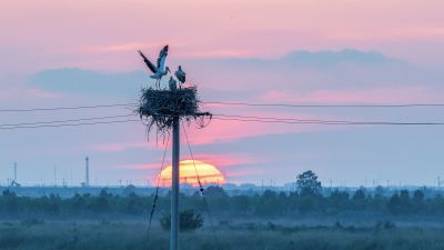 钱茜《东方摄影 · 我的2024》：《油田也是我的家》