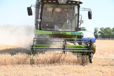 麦熟一晌收割忙