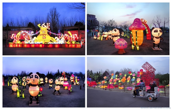 《夜色阑珊园博园》（组照）