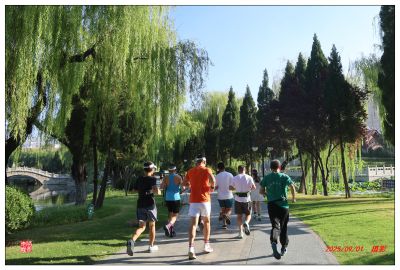 荆河公园的早晨2