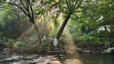 耶稣光洒落灈樱池