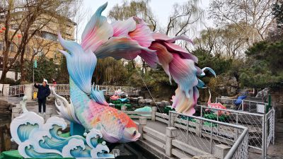 趵突泉畔-鲤鱼跳龙门