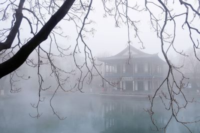 济南新八景作品投稿：龙潭冬韵