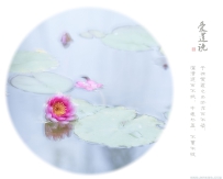 [原创]【朝花夕拾】睡莲