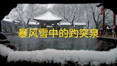 暴风雪中的趵突泉